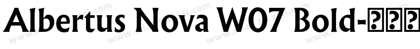 Albertus Nova W07 Bold字体转换